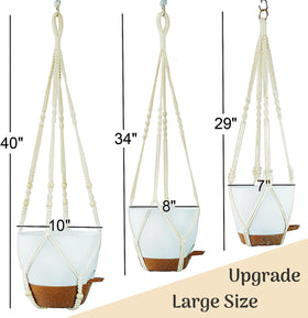 Bouqlife self-watering pot and reservoir detail demonstrating water access