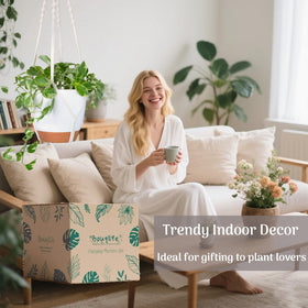 Bouqlife tassel-free design enhances minimal decor aesthetics