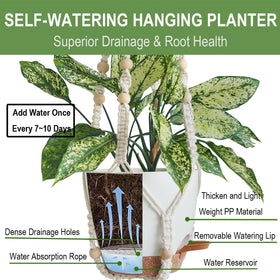 Bouqlife three-pack hanging planters with a 7-inch pot for compact plants
