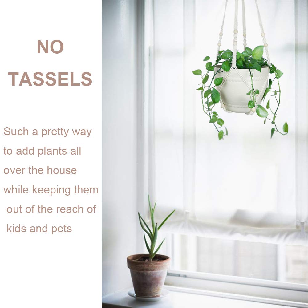 Bouqlife window display accents your home with natural charm.