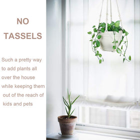 Bouqlife window display accents your home with natural charm.