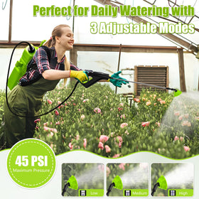 Bourid adjustable pressure sprayer with three speeds suits seedlings to heavy cleaning