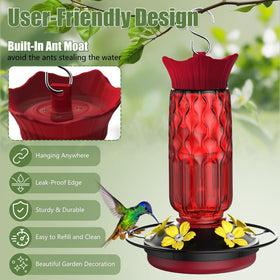 Bourid 16oz capacity feeder shows nectar level clearly for timely refills.