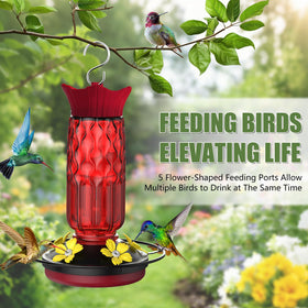 Bourid bee-proof hummingbird feeder keeps bees away while birds sip.