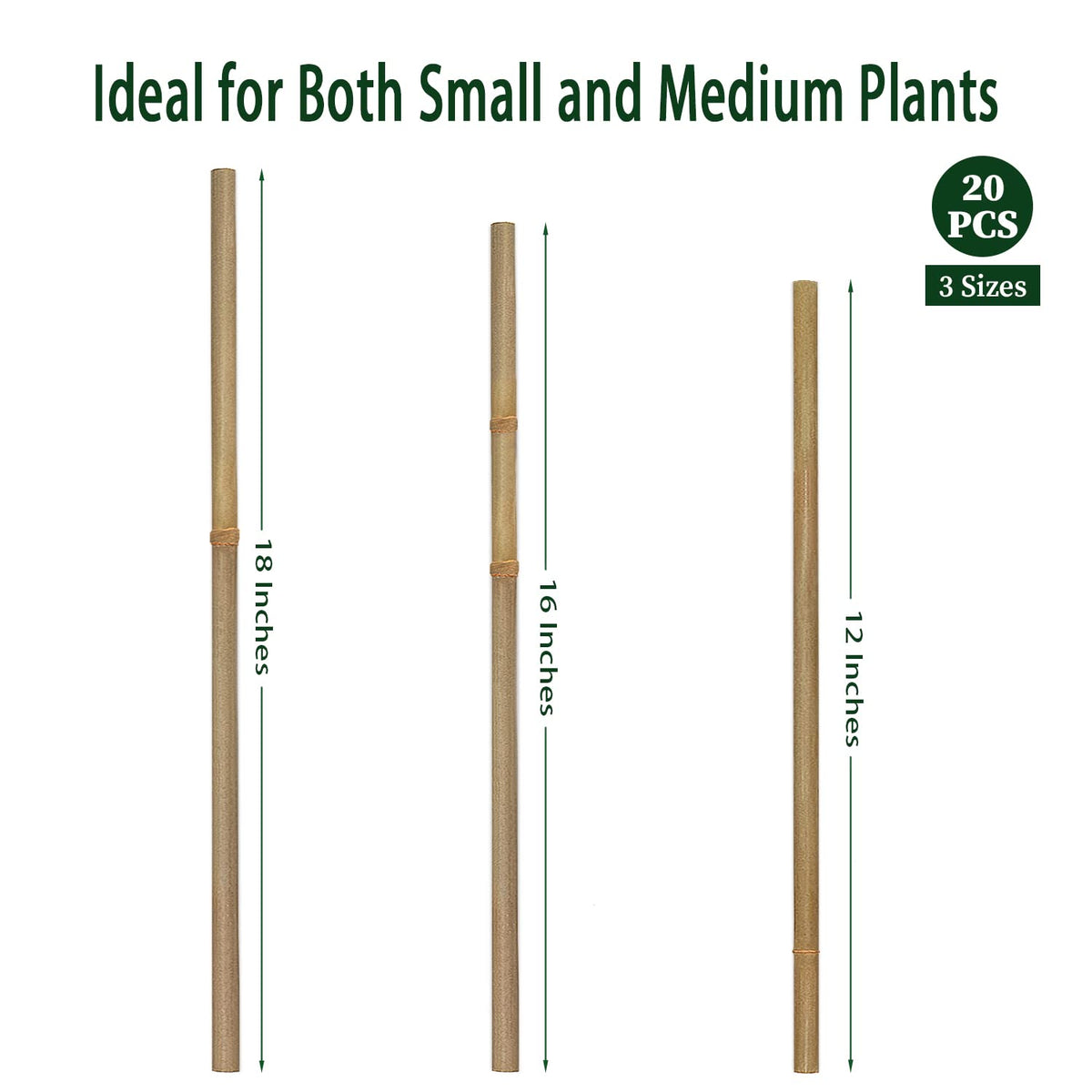 BOVITRO 20-pcs bamboo stakes pack for multiple plants.