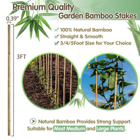 BOVITRO 3ft bamboo stake keeps pepper vines steady and guided