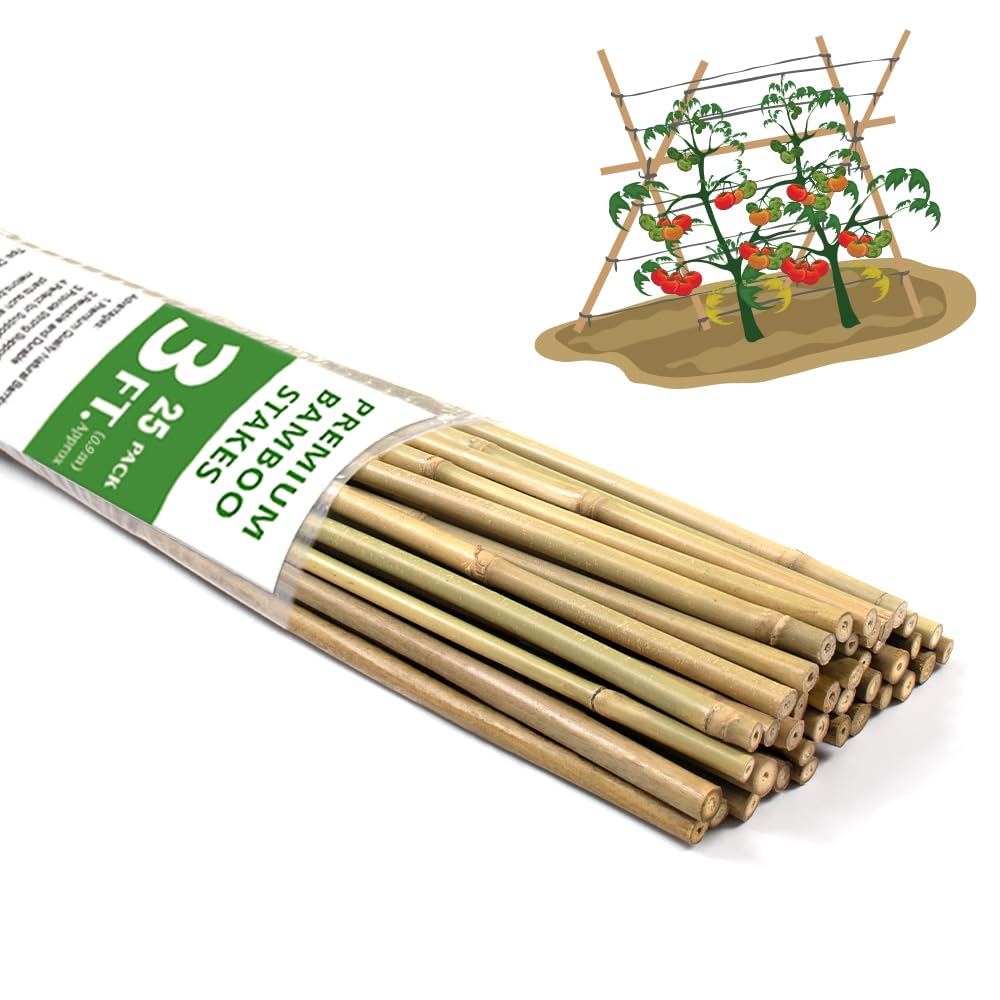 BOVITRO bamboo stake supports tomatoes for neat vertical growth