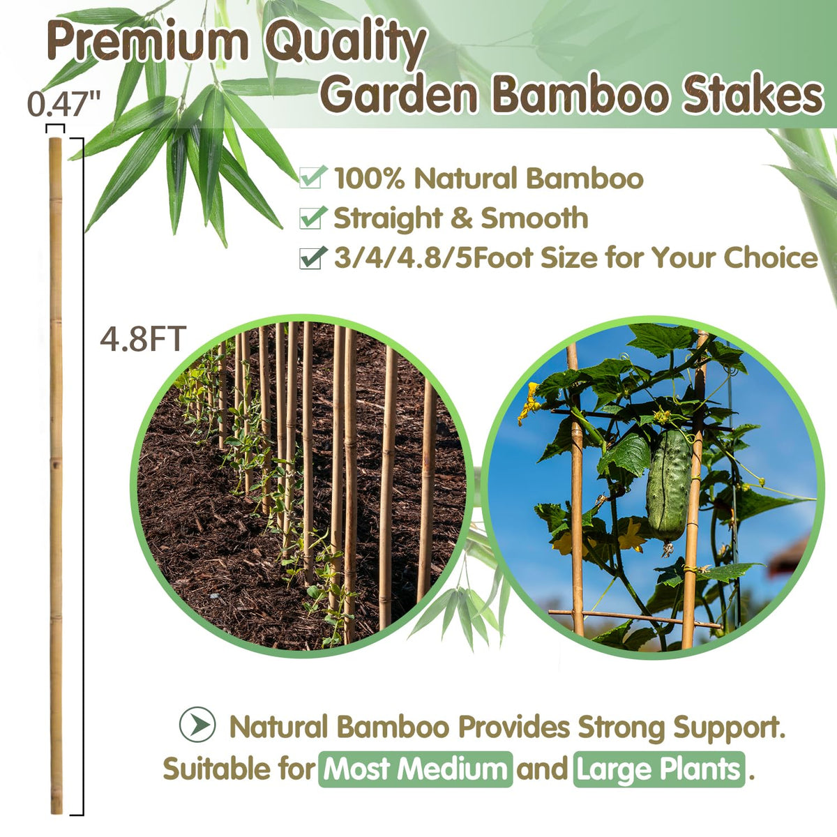 BOVITRO bamboo stakes for tomato support keeps fruit-bearing vines tidy