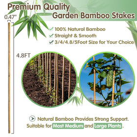 BOVITRO bamboo stakes for tomato support keeps fruit-bearing vines tidy