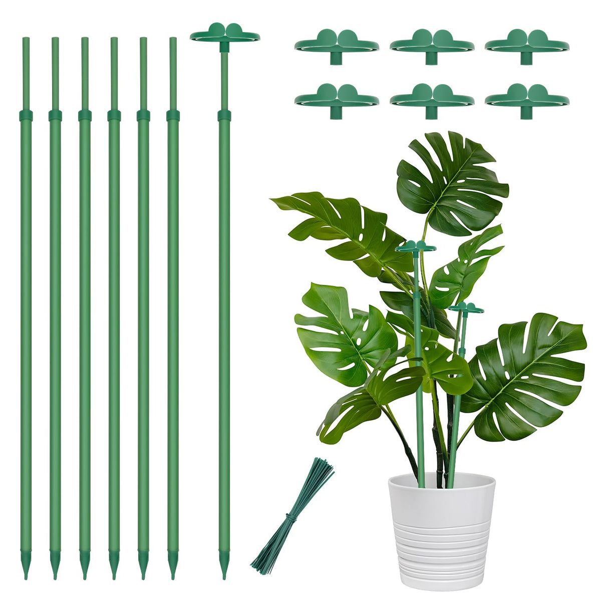 BOVITRO extendable plant stake supports upright growth from 17.5 to 30.1 inches.