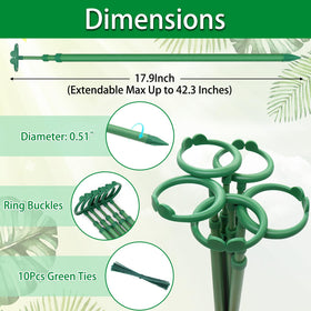 BOVITRO extendable stake demonstrates adjustable height for plant growth.
