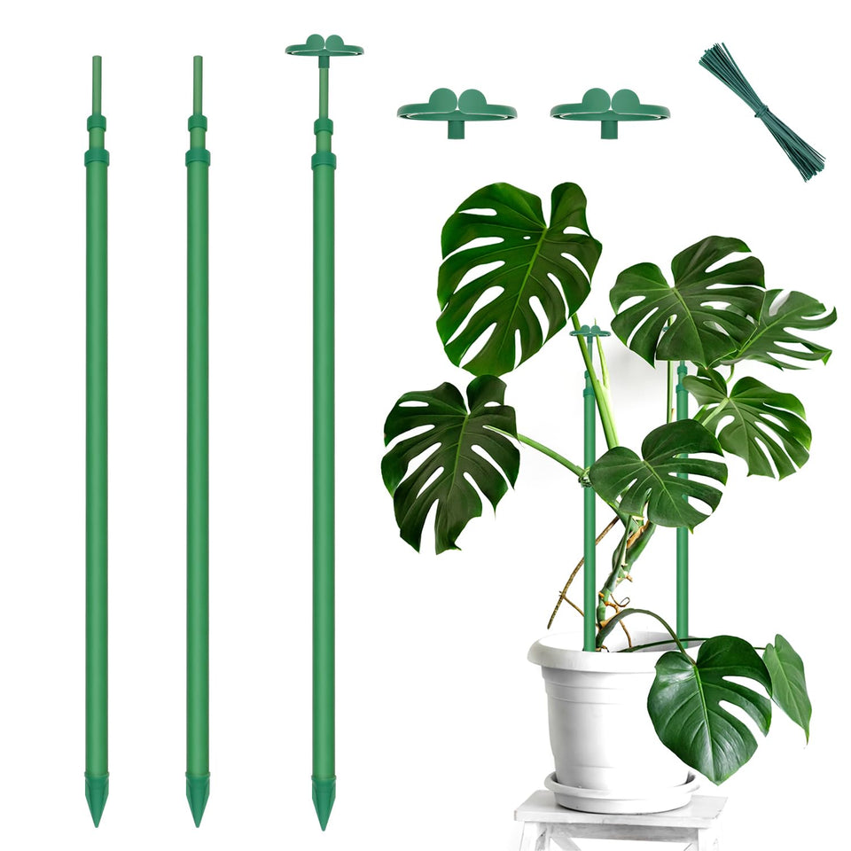 BOVITRO extendable stake with monstera support for upright growth.