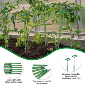 BOVITRO extendable stake with top clip for orchids or vines.