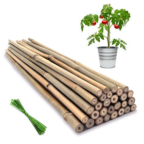 BOVITRO plant stake 18in natural bamboo for sturdy garden support.