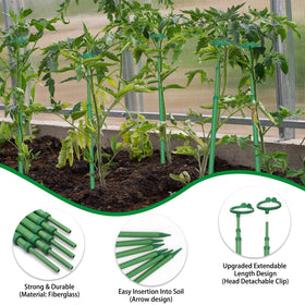 BOVITRO stake supporting a tomato plant in a sunny garden.