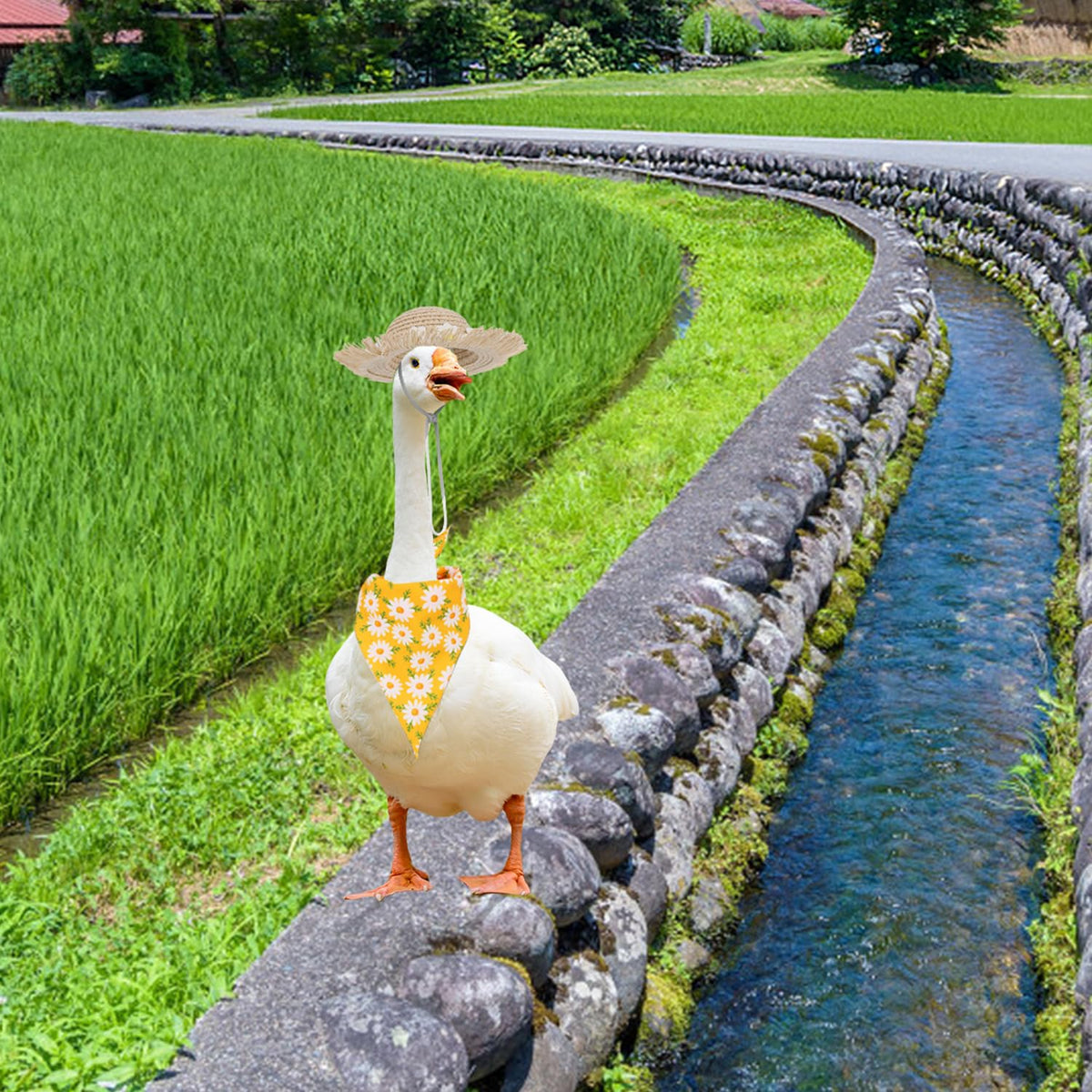 BOXOB Rustic buckwheat hat material provides durable garden decoration
