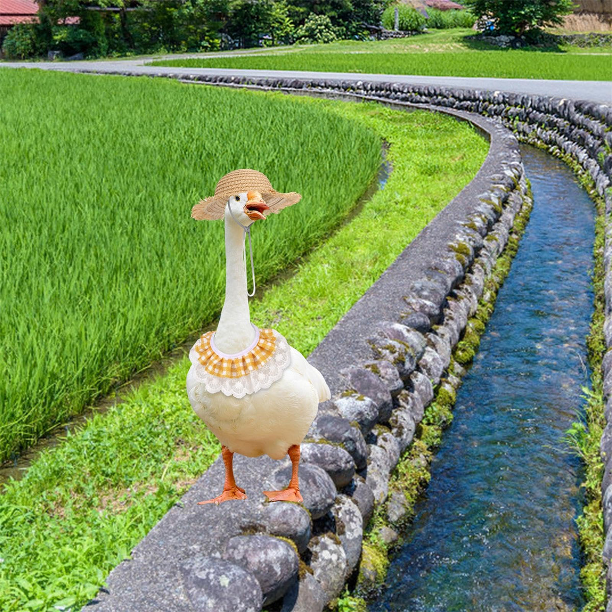 BOXOB summer-to-fall goose outfit pairs with garden statues for a playful mood.
