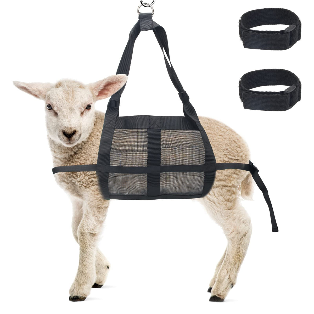 Boyistar calf sling ready for weighing setup with secure straps.