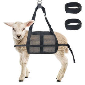 Boyistar calf sling ready for weighing setup with secure straps.