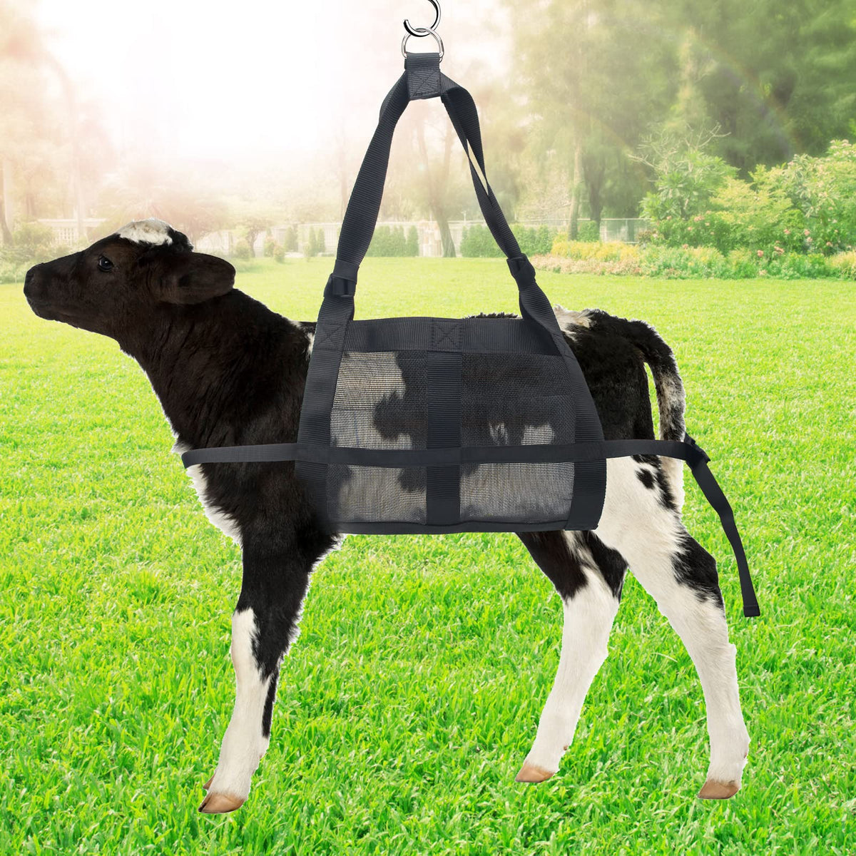 Boyistar multiuse grooming bag for trimming and washing small animals.