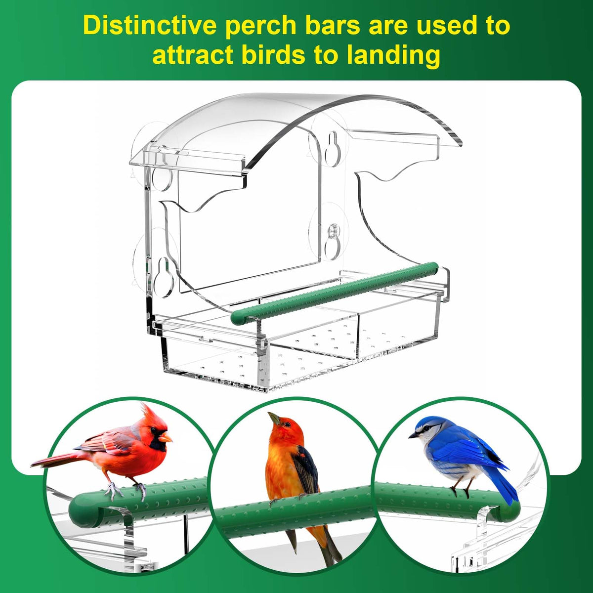 BPYOT detachable seed tray allows easy refills and quick cleaning after feeding.