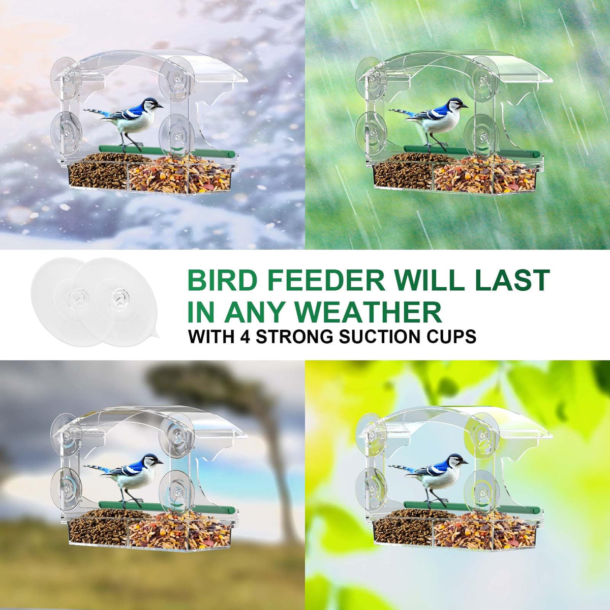 BPYOT family-friendly design invites kids, cats, and seniors to observe birds safely.