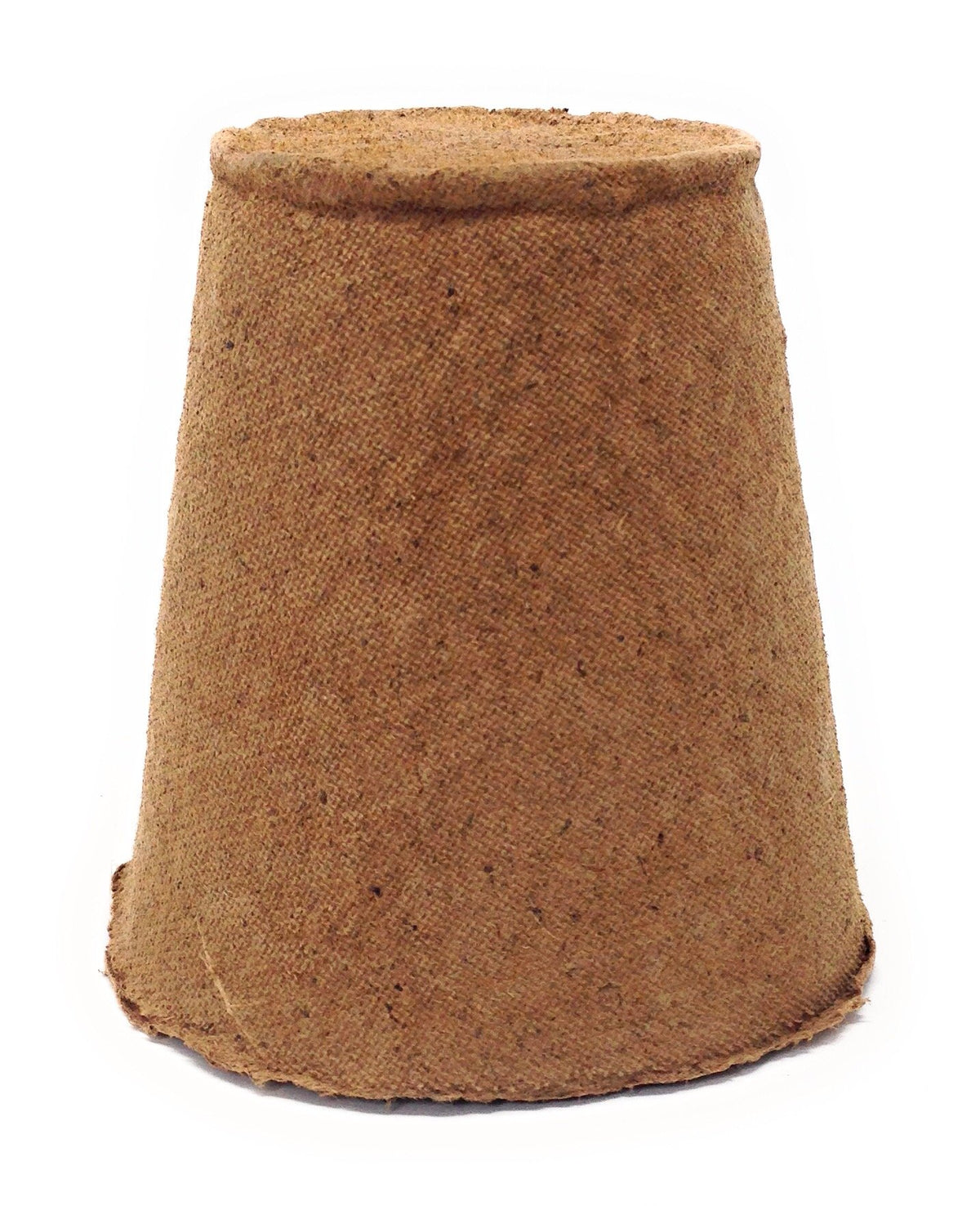 Br BRILLANTE seedling in a 4-inch pot demonstrates simple growth and root penetration.