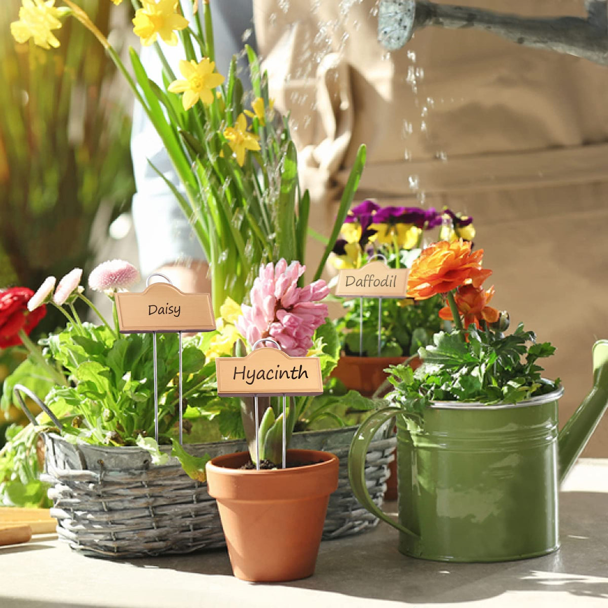 Sturdy pronged stakes keep Bravex labels steady in soil and easy to relocate.