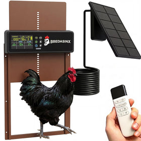 BREDASINX automatic chicken coop door front view enables quick flock entry.