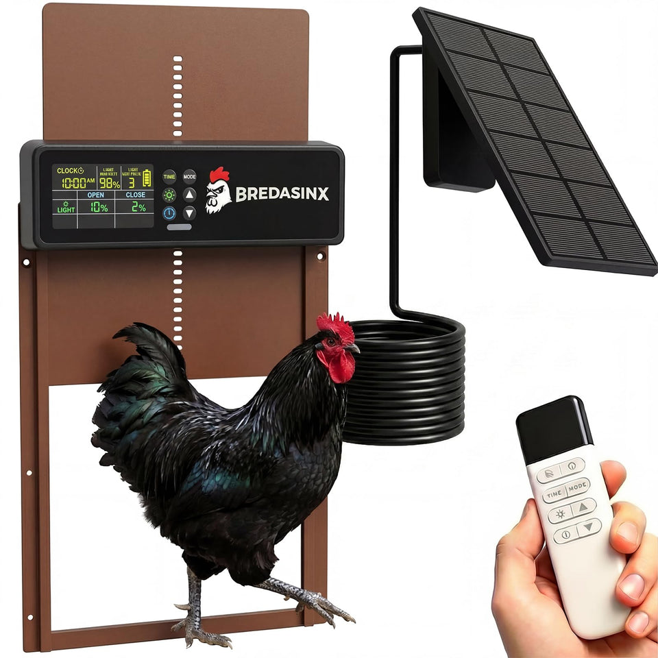 BREDASINX automatic chicken coop door front view enables quick flock entry.