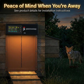 BREDASINX full-view installation in a coop demonstrates automatic opening and closing.