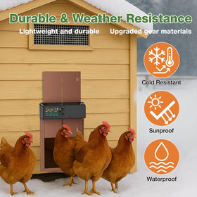 BREDASINX spacious 10x7.9 inch opening fits most standard breeds