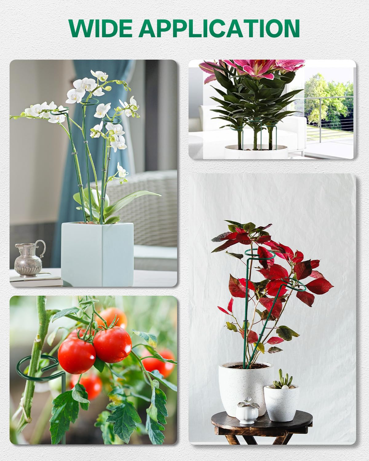Breeze Touch discreet green finish stakes elevate garden aesthetics while keeping plants upright.