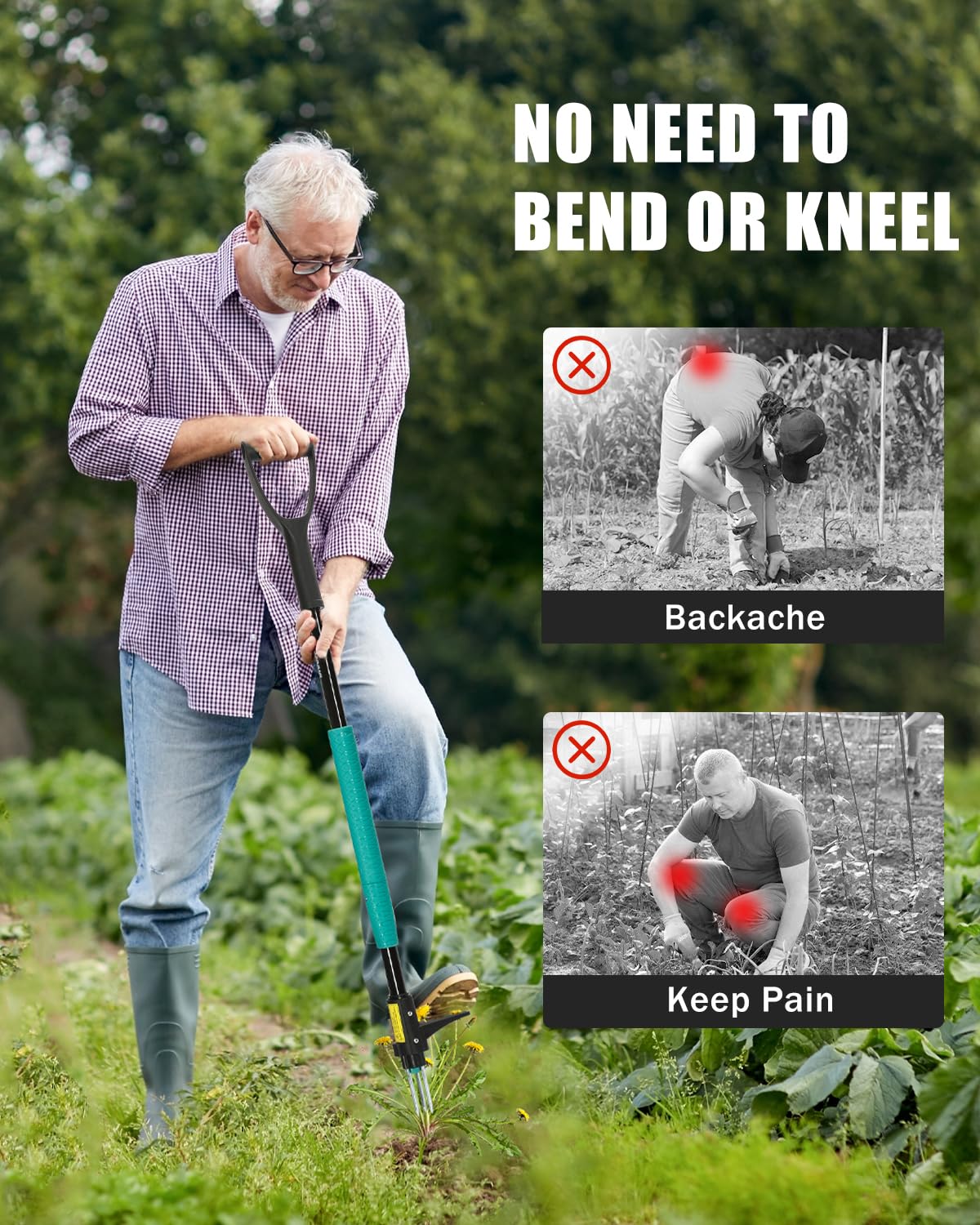 Breeze Touch professional-grade dandelion remover for complete root extraction.