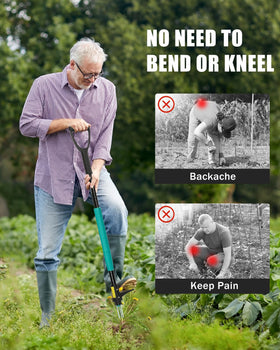 Breeze Touch professional-grade dandelion remover for complete root extraction.