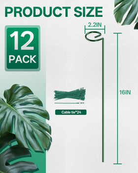 Breeze Touch flower stake for peony offers elegant, invisible support.