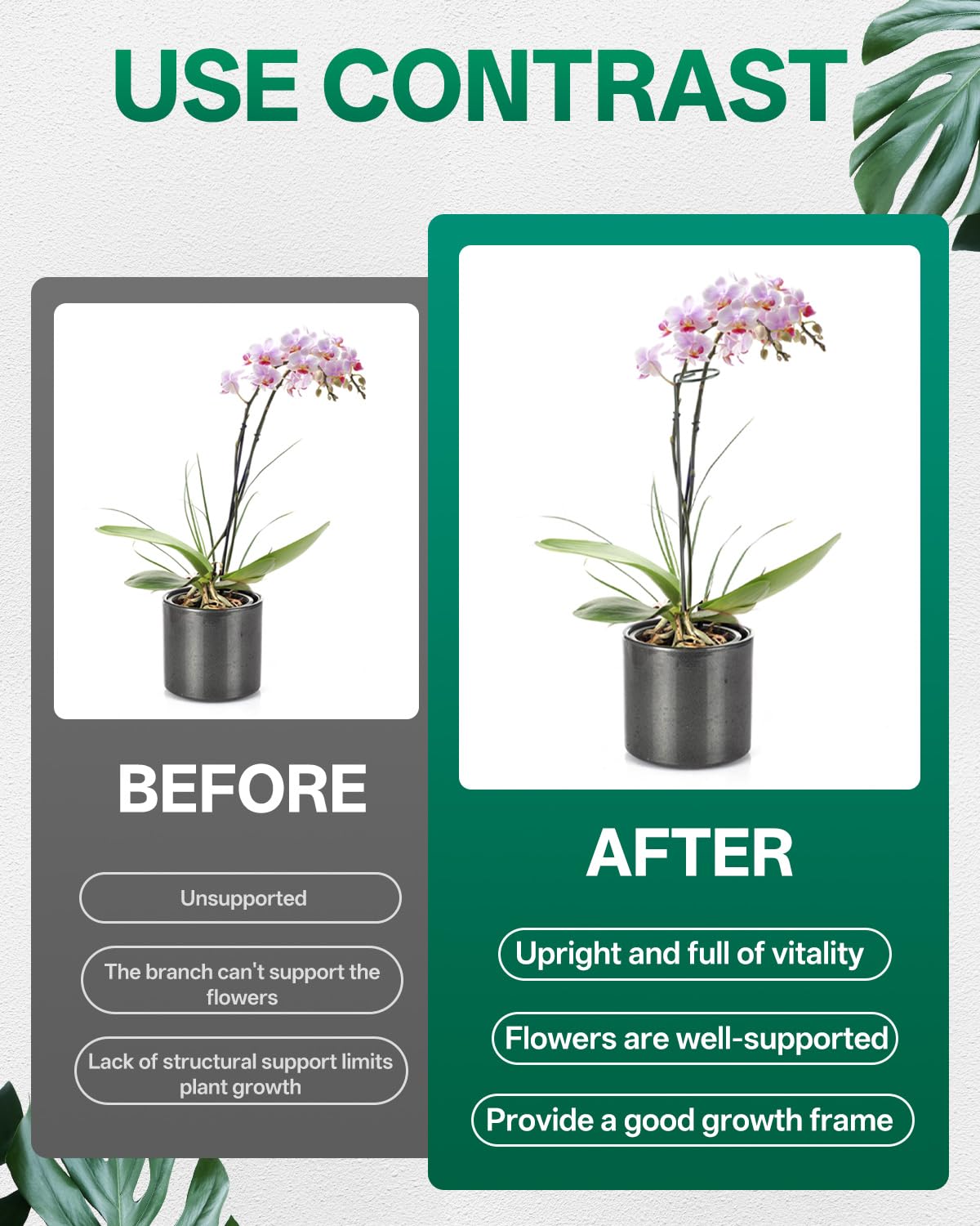 Breeze Touch green coated stakes blend with foliage for discreet garden support.