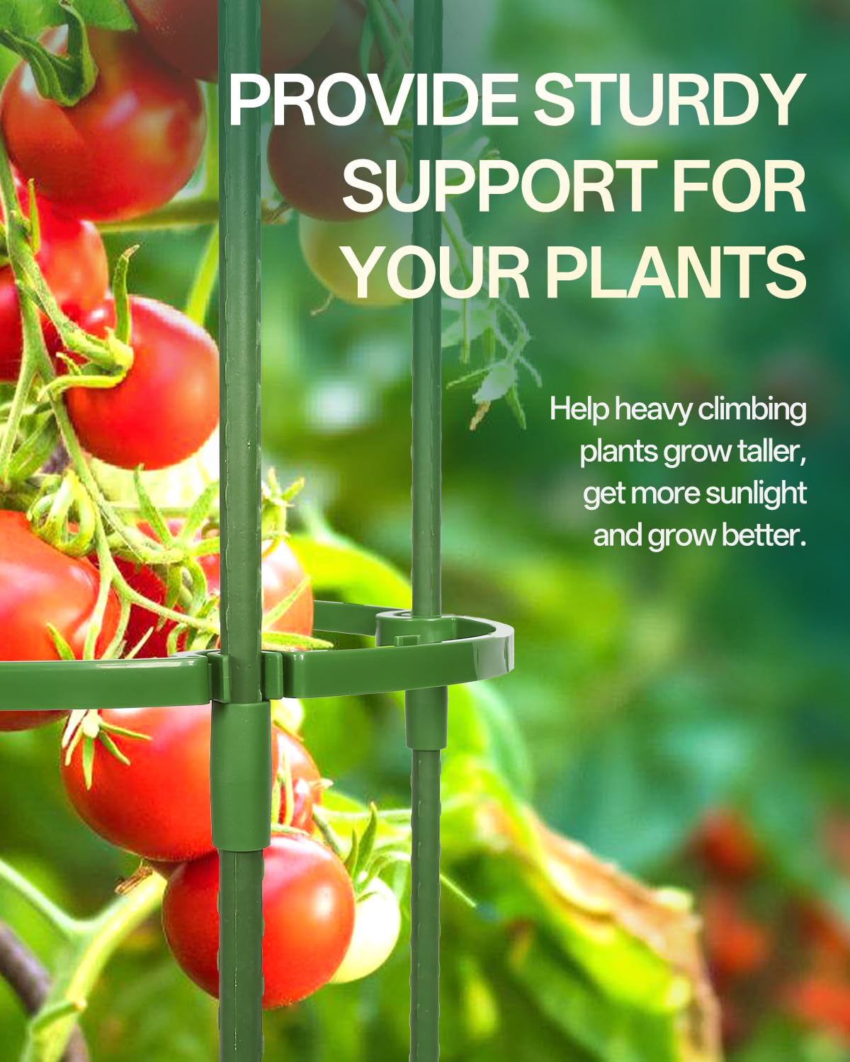 Rust-resistant steel core with plastic coating for durable garden support.