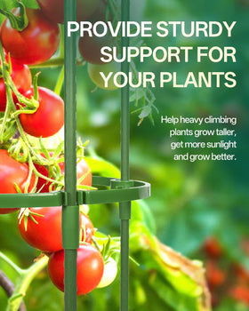 Rust-resistant steel core with plastic coating for durable garden support.