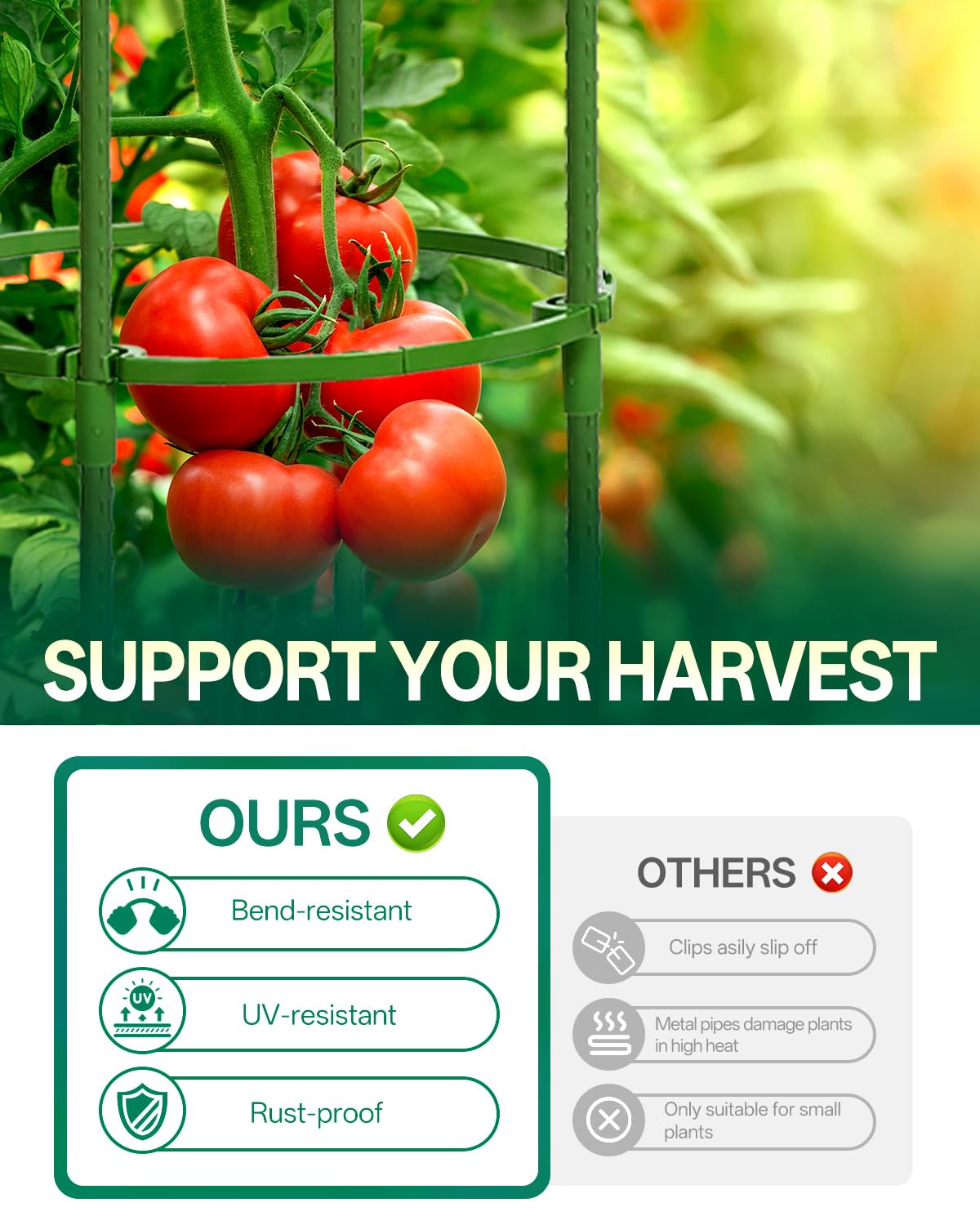 Versatile plant support for tomatoes, beans, cucumbers, and flowers.