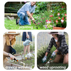 bretreead 3-pack garden tools simplify weed removal in beds and cracks