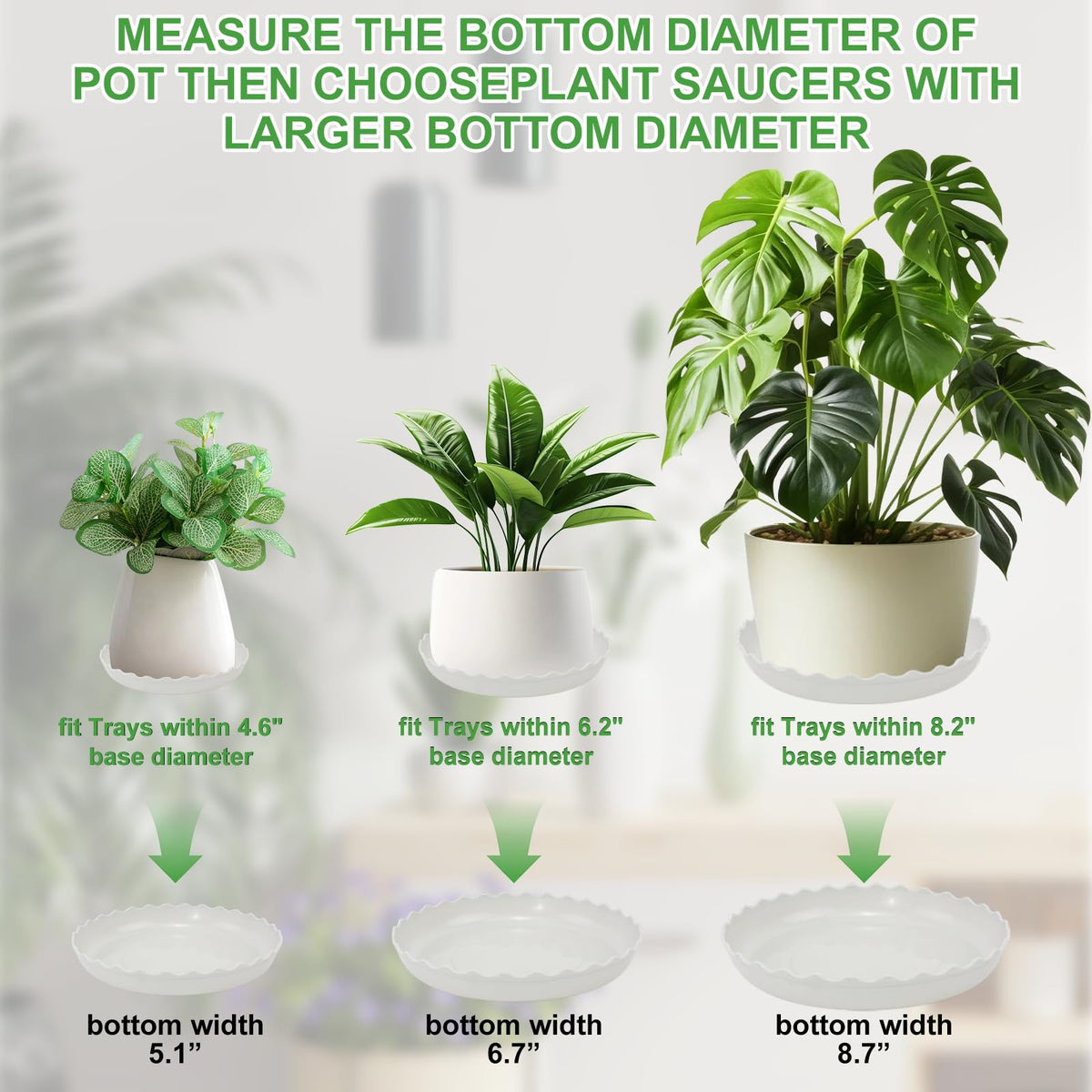 Brianver Yuanaiyi heavy-duty PP resin saucer for durable plant protection.