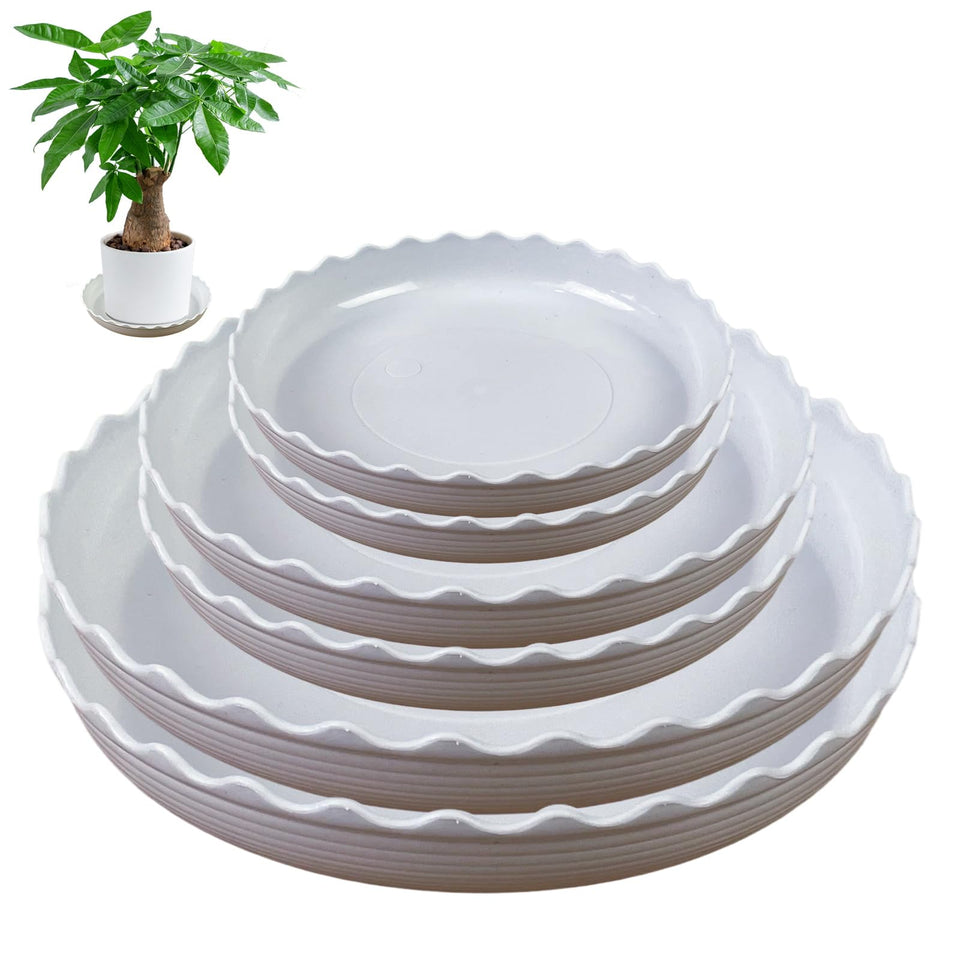 Brianver Yuanaiyi wave saucer 6-inch catching water runoff.
