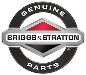 Briggs & Stratton 492932 filter with packaging label, authentic replacement part.