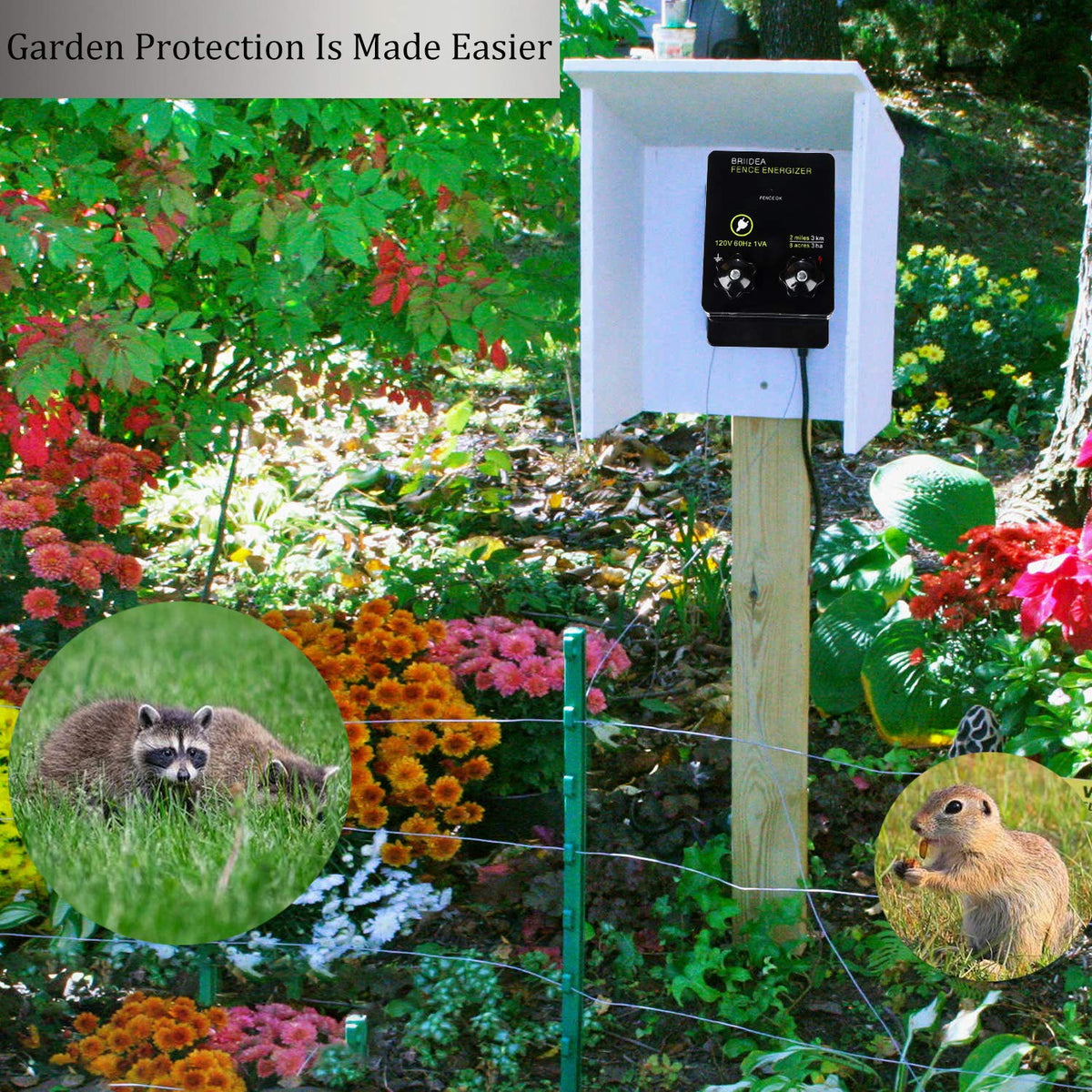 Briidea installation setup guide for quick, secure mounting