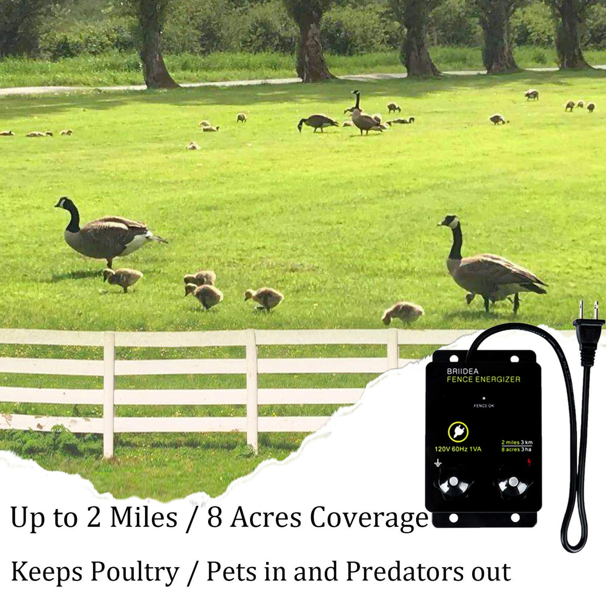 Briidea energizer with two terminals enabling secure fence wiring