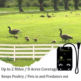 Briidea energizer with two terminals enabling secure fence wiring