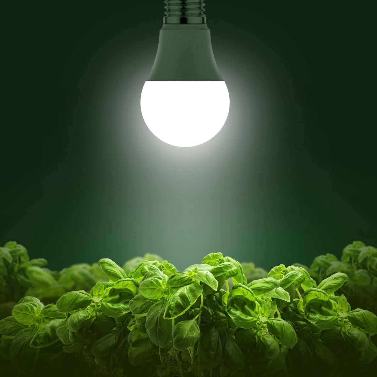 Briignite 11W LED plant light in use delivering bright 100W-equivalent output.