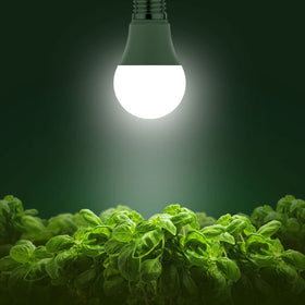 Briignite 11W LED plant light in use delivering bright 100W-equivalent output.