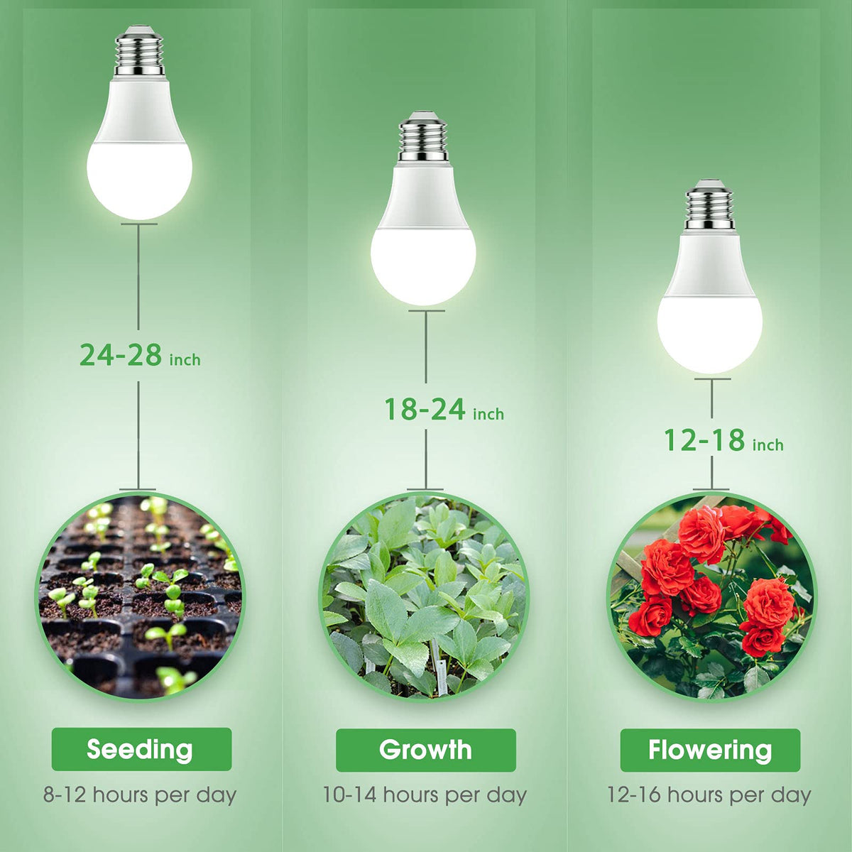 Briignite 180-degree beam spreads light evenly across plants.